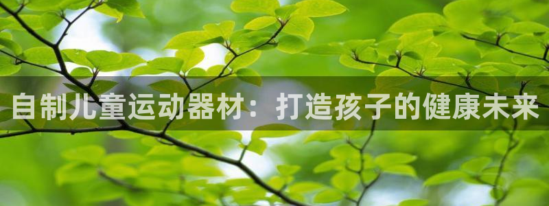 富联娱乐怎么样知乎：自制儿童运动器材：打造孩子的健康