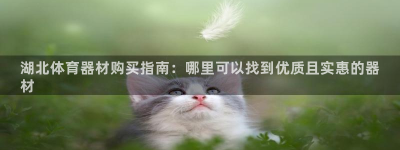 富联官方网站入口网址是什么：湖北体育器材购买指南：哪