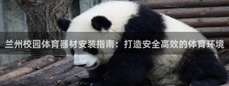 富联集团做什么的：兰州校园体育器材安装指南：打造安全