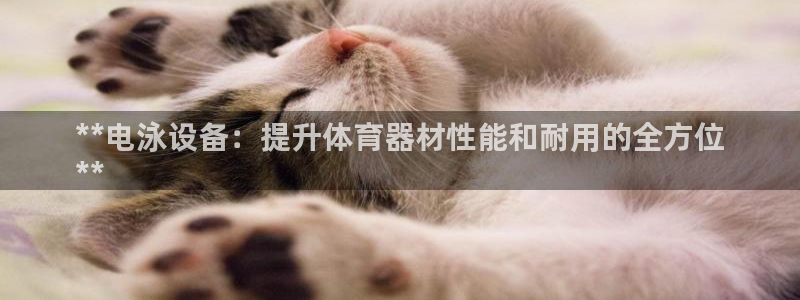 富联申购中签时间：**电泳设备：提升体育器材性能和耐