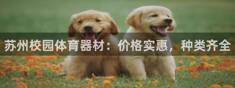 富联平台升 5O6917 平台：苏州校园体育器材：价