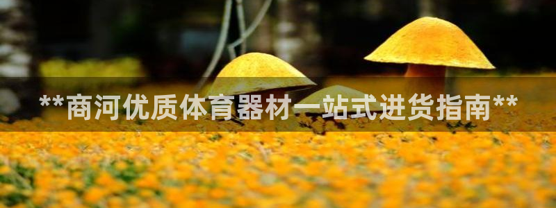 富联平台选 585341 平台：**商河优质体育器材