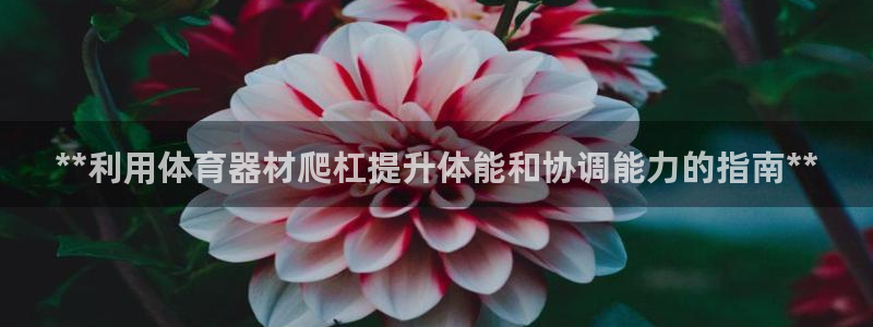 富联平台选 585341 平台：**利用体育器材爬杠