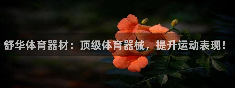 富联娱乐登录地址在哪里：舒华体育器材：顶级体育器械，
