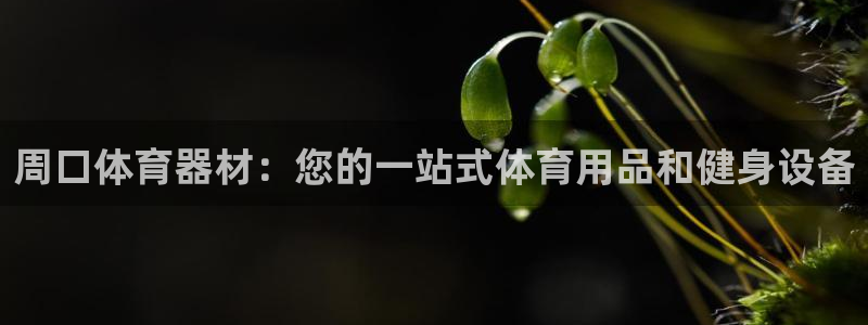 富联官网代理系列是正品吗：周口体育器材：您的一站式体