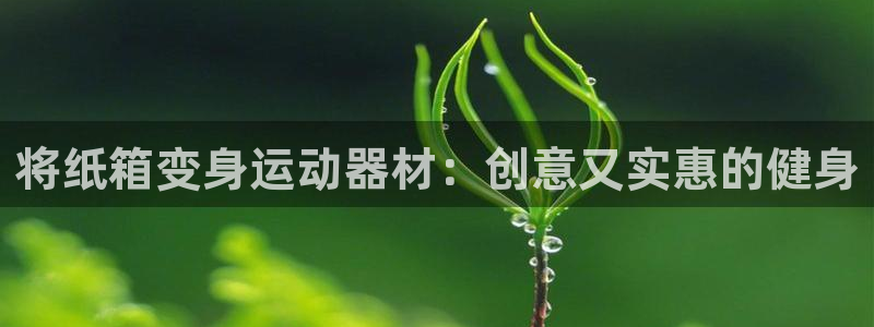 富联娱乐负责人电话：将纸箱变身运动器材：创意又实惠的