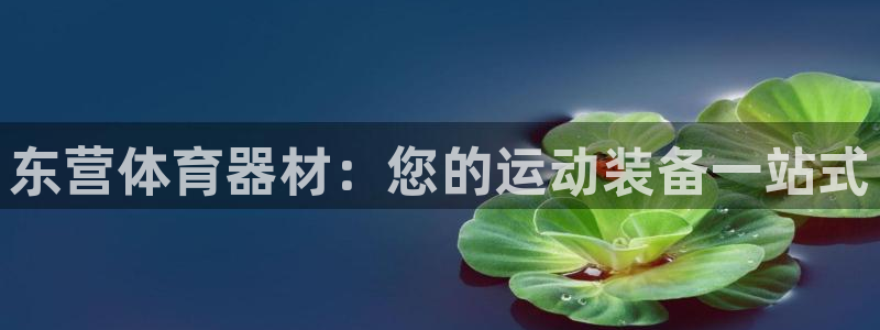 富联股份代码是多少：东营体育器材：您的运动装备一站式