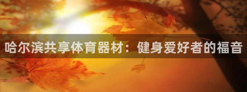 富联官网注册流程视频：哈尔滨共享体育器材：健身爱好者