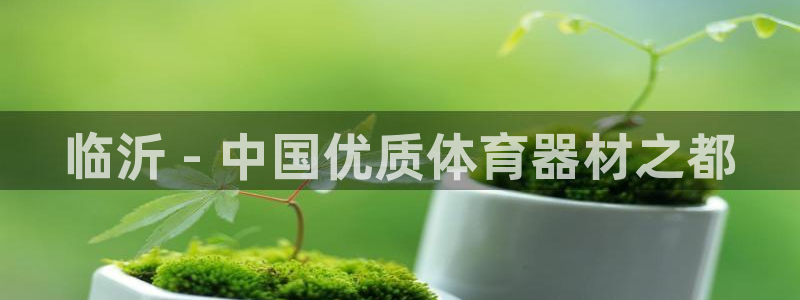 富联平台万 3.7.OO.7.3.5：临沂 - 中国