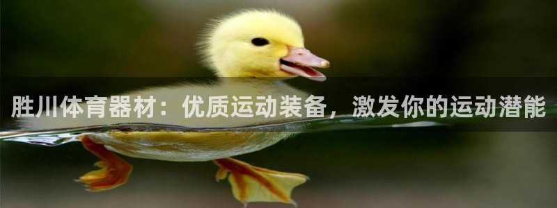 富联娱乐平台开户：胜川体育器材：优质运动装备，激发你