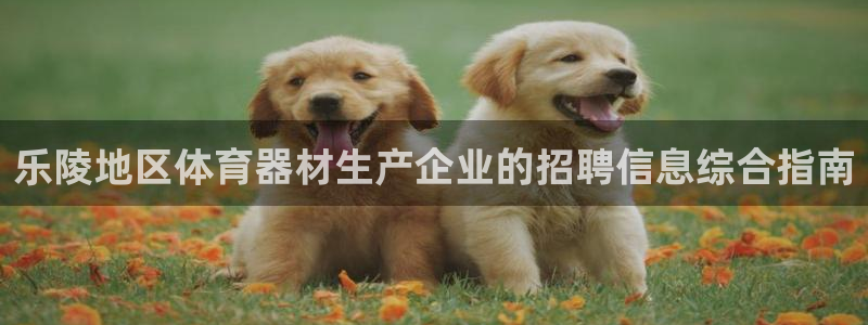 富联集团做什么的呀：乐陵地区体育器材生产企业的招聘信