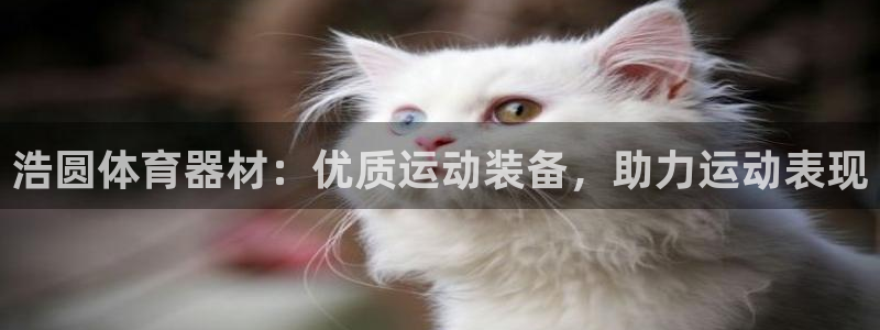 富联娱乐老板：浩圆体育器材：优质运动装备，助力运动表