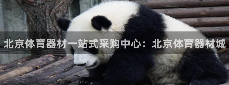 富联娱乐总代：北京体育器材一站式采购中心：北京体育器材城