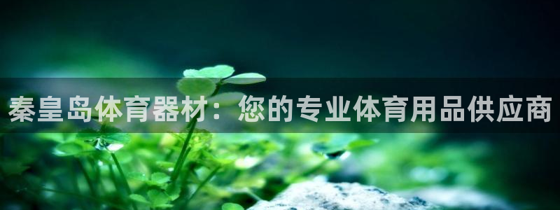 富联平台登入：秦皇岛体育器材：您的专业体育用品供应商