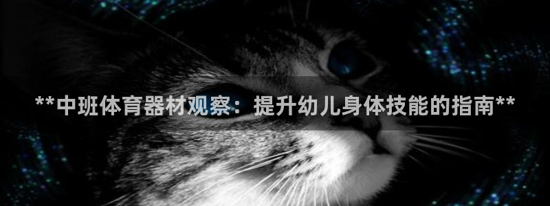 富联官网注册不了账号：**中班体育器材观察：提升幼儿