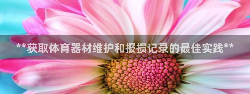 富联娱乐股东结构：**获取体育器材维护和报损记录的最