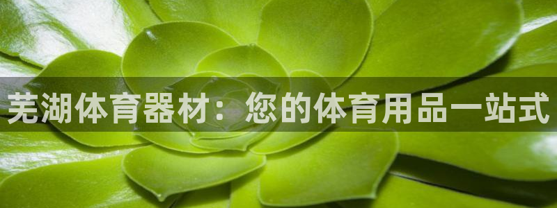 富联娱乐负责人电话：芜湖体育器材：您的体育用品一站式