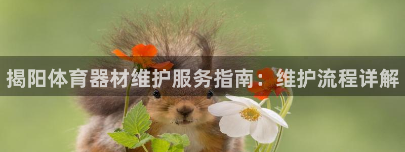 富联娱乐正规吗可靠吗：揭阳体育器材维护服务指南：维护