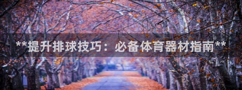 富联申购：**提升排球技巧：必备体育器材指南**