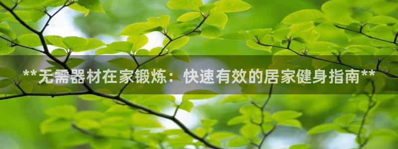 深圳富联智能制造产业创新中心：**无需器材在家锻炼：快速有效