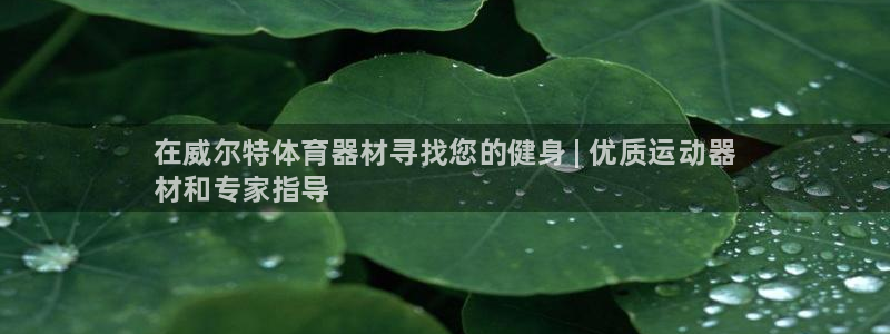 富联娱乐会员怎么取消：在威尔特体育器材寻找您的健身 | 优质