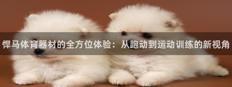 富联官网注册流程图片：悍马体育器材的全方位体验：从跑动到运动