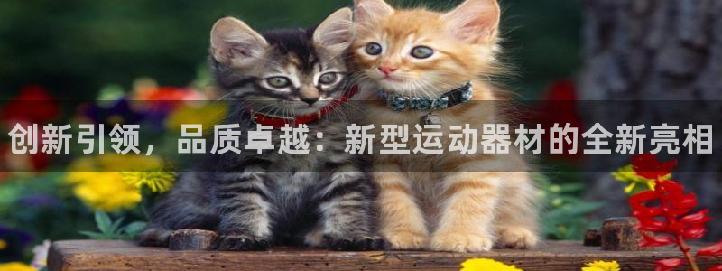 富联娱乐玩法机制介绍：创新引领，品质卓越：新型运动器