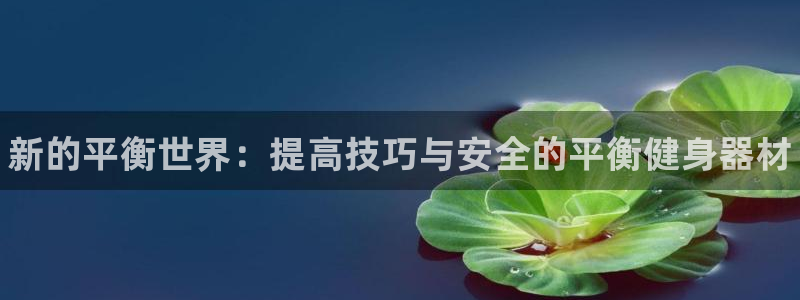 富联娱乐服务站电话：新的平衡世界：提高技巧与安全的平衡健身器