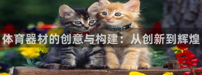 富联官方网站入口下载：体育器材的创意与构建：从创新到辉煌